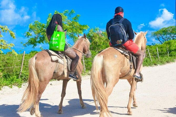 Horseback riding along Macao beach from Punta Cana - What the rating tells you, and what it does not