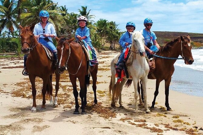 Horseback Riding along the Beach - Quick points about the Macao Beach ride