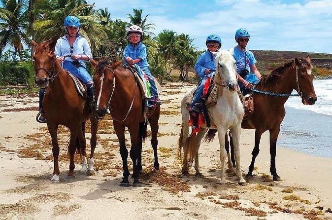 Horseback Riding along the Beach - Who will get the most from this beach ride?