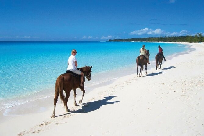 Horseback Riding along the Beach - Riding beside the ocean for one hour