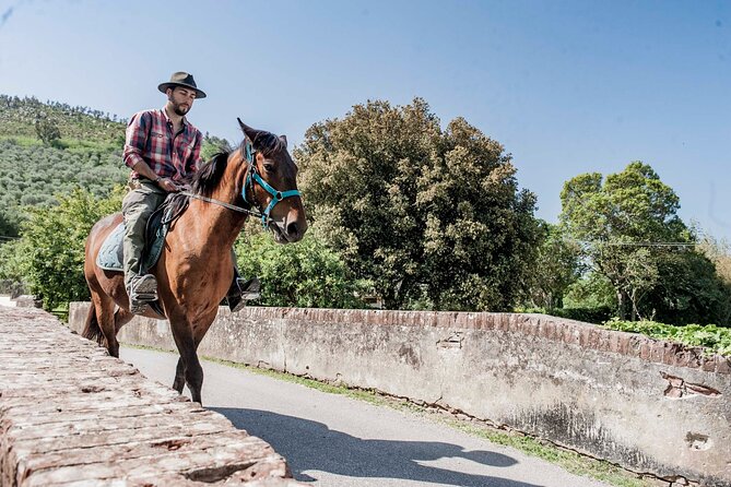 Horseback riding and aperitif 2 hours for beginners - Is $107.23 a fair price?