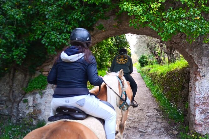 Horseback riding and aperitif 2 hours for beginners - Practical details that affect your day