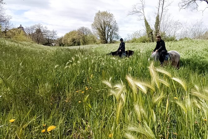 Horseback riding and aperitif 2 hours for beginners - Should you book it?