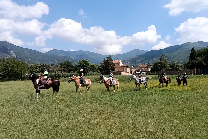 Horseback riding and aperitif 2 hours for beginners - Following the route from Calci into the hills