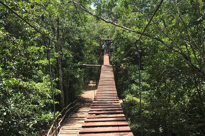 Horseback riding and ATV in the jungle, Ziplines, Cenote & Lunch - Horseback riding, with modest expectations