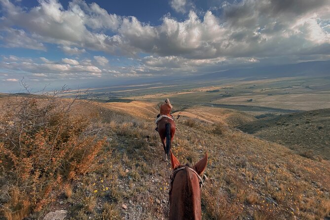 Horseback riding and barbecue in a private ranch - La Carrera, Mendoza - Reaching the high valley near Tupungato