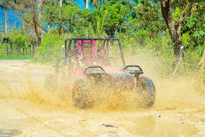 Horseback Riding and Buggy and Macau Cave and Beach Tour - Who should book this adventure?
