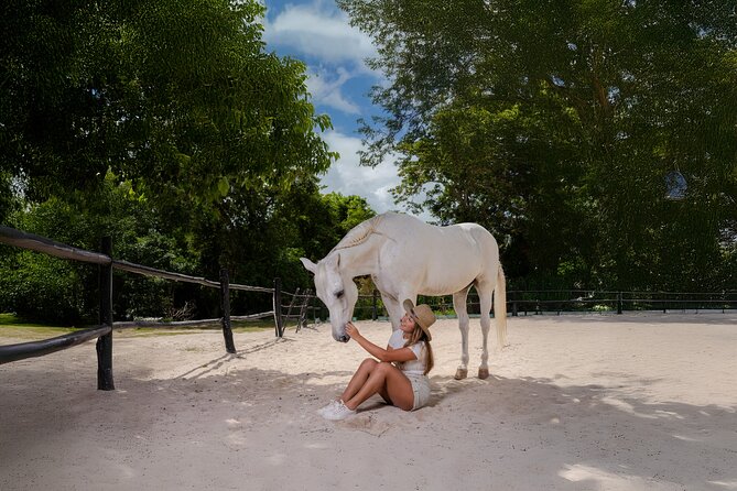 Horseback Riding and Cenote Swim from Cancun or Playa del Carmen - Meeting your horse and learning the basics