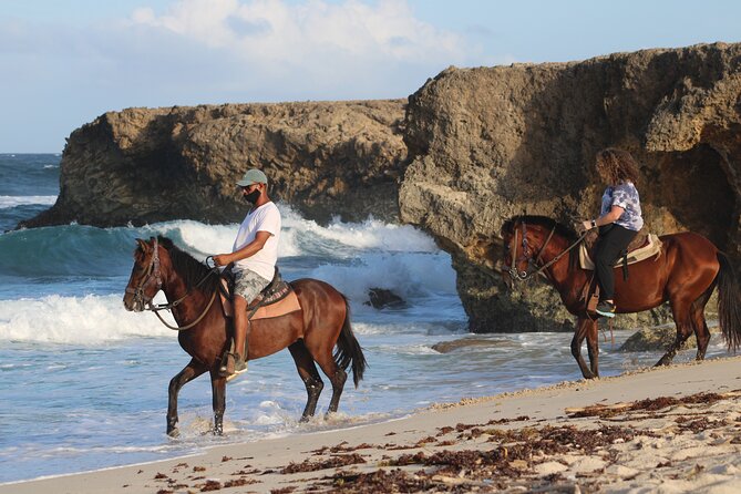 Horseback Riding and Natural Pool Adventure in Aruba - Key points to know before you book