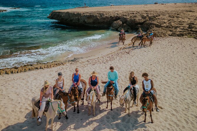 Horseback Riding and Natural Pool Adventure in Aruba - Meeting the horses at The Gold Mine Ranch