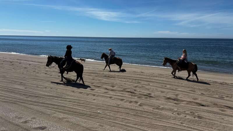 Horseback riding and Temazcal combo with lunch and mezcal - Key points to know before you book