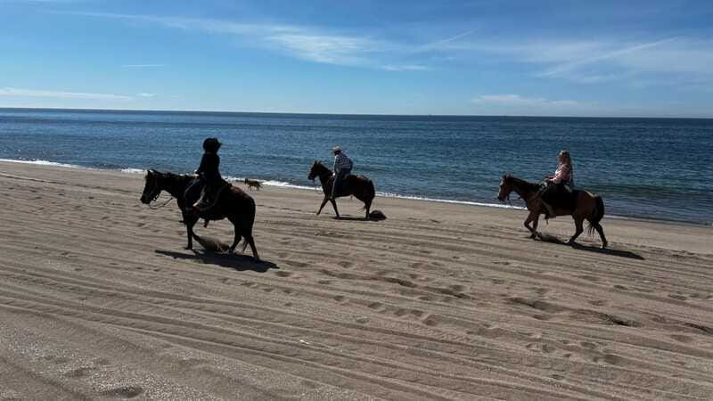 Horseback riding and Temazcal combo with lunch and mezcal - Mezcal from white to tamarind