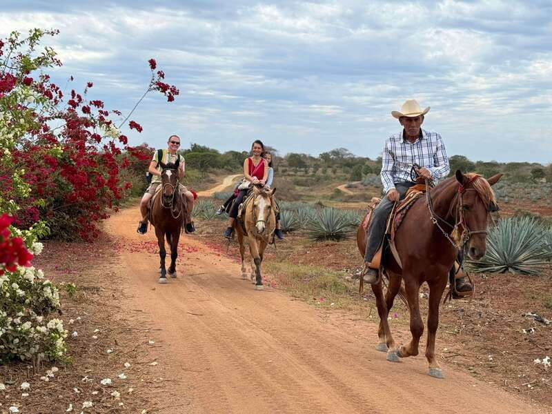 Horseback riding and Temazcal combo with lunch and mezcal - Clay, volcanic stones, and the temazcal