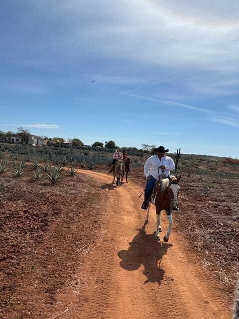 Horseback riding and Temazcal combo with lunch and mezcal - What the $198 price really covers