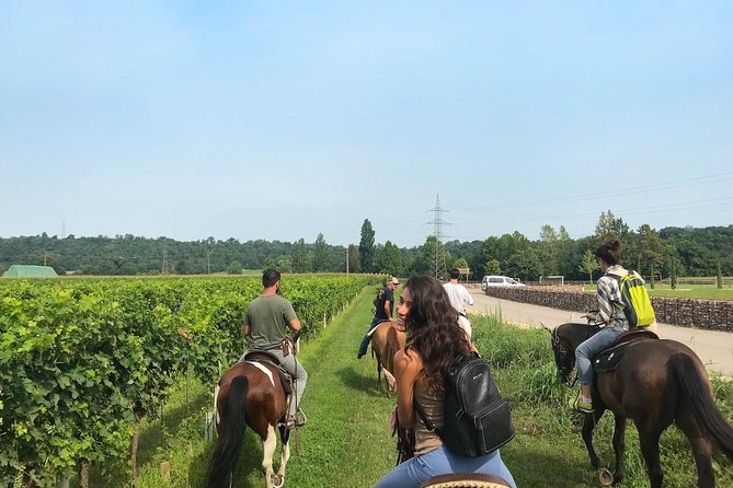Horseback riding and wine tasting - Key points before you book