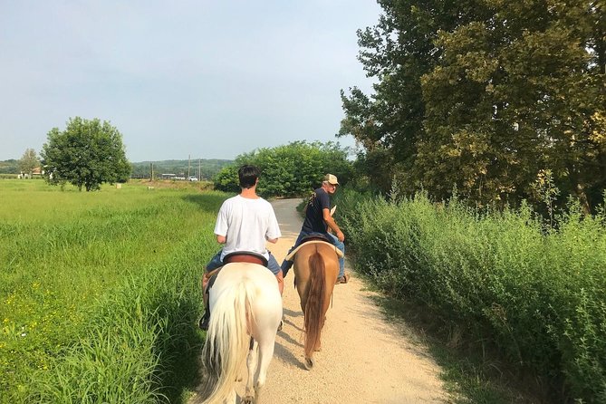 Horseback riding and wine tasting - From Villafranca to the vineyards of Custoza
