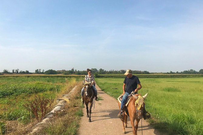 Horseback riding and wine tasting - What the $190.63 price gets you