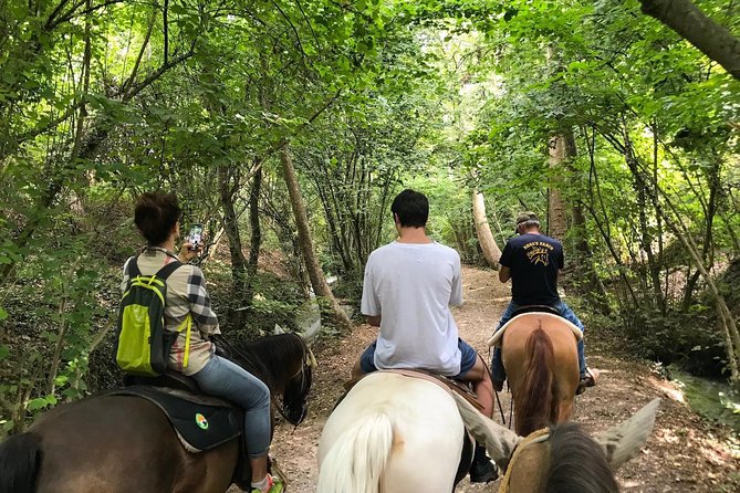 Horseback riding and wine tasting - Weather, fitness, and riding ability