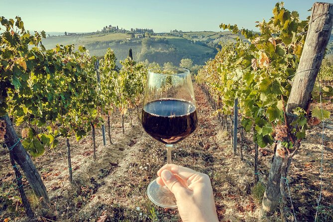 Horseback Riding and Wine Tasting Tour - Two wineries, included tasting fees