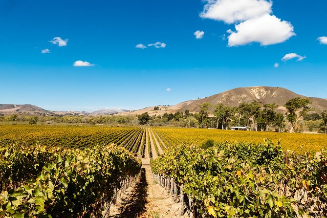 Horseback Riding and Wine Tasting Tour - Lunch at a Santa Ynez Valley restaurant