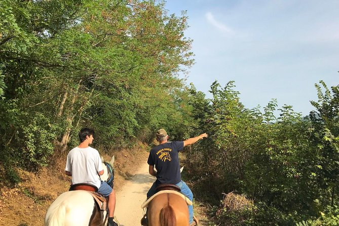 Horseback riding and wine tasting - Entering a family winery in Custoza