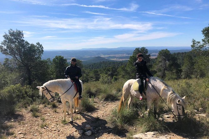 Horseback riding and wine tour (private tour) - Leaving Valencia for Utiel-Requena
