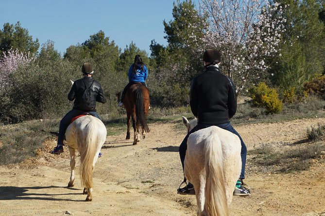Horseback riding and wine tour (private tour) - Elise and the personal touch
