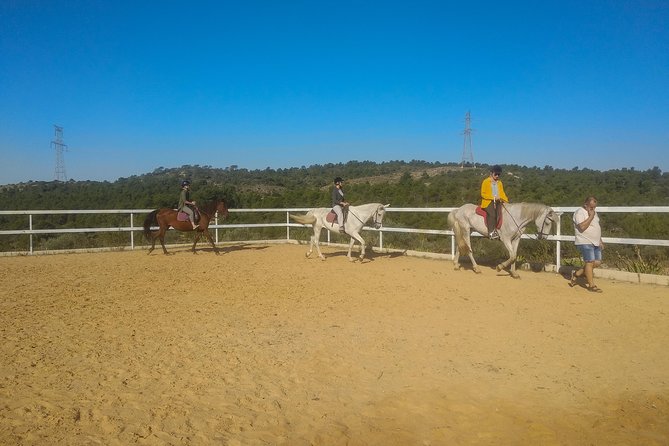 Horseback riding and wine tour (private tour) - What the winery visit does and does not include