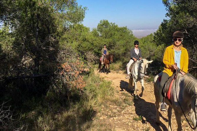Horseback riding and wine tour (private tour) - Who will enjoy this day most?