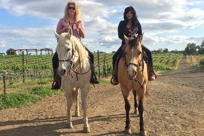 Horseback Riding and Wine Tours - Returning to the stables after the tasting