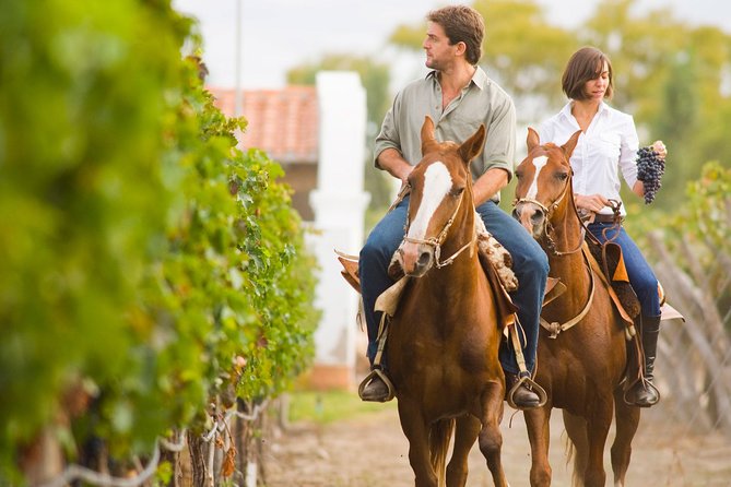 Horseback Riding and Winery Lunch Experience in San Gimignano - Key things to know before booking
