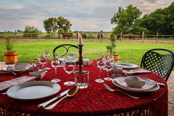 Horseback Riding and yurt stay in the Puszta, 1 hour morning ride - Breakfast with a local connection