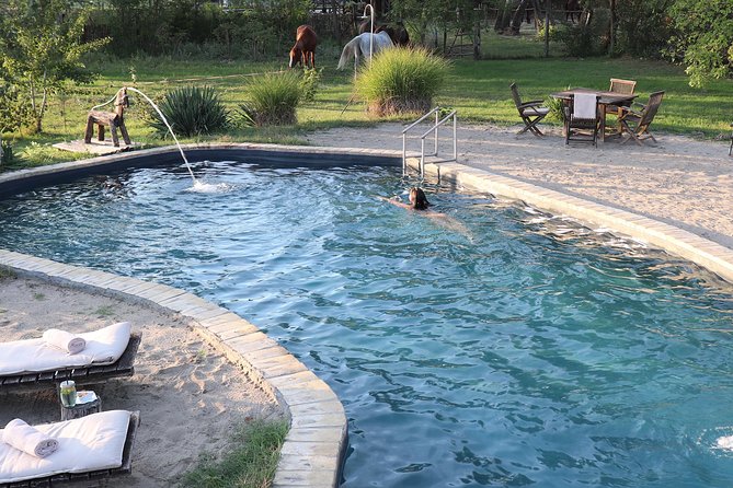 Horseback Riding and yurt stay in the Puszta, 1 hour morning ride - Meeting the Hungarian warmbloods