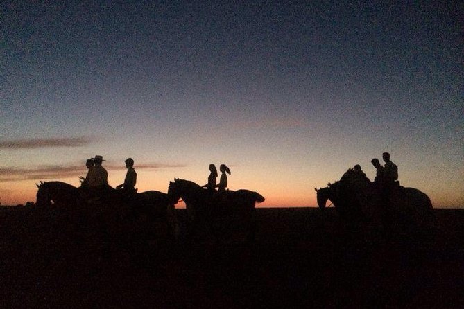 Horseback riding around Doñana National Park - Key points before you book