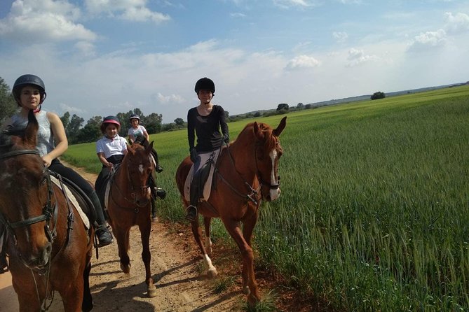 Horseback riding around Doñana National Park - Meeting the horses at El Acebuche