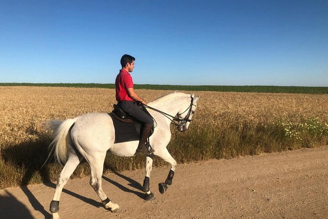 Horseback riding around Doñana National Park - Transport from Seville and the real price