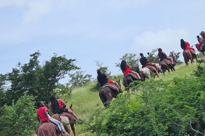 Horseback Riding at Hawksbill Beach in Five islands Antigua - From Peggy Pond to Antigua’s hill country