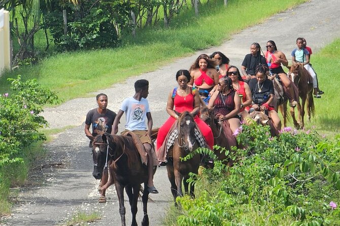 Horseback Riding at Hawksbill Beach in Five islands Antigua - The stable, facilities, and practical comfort
