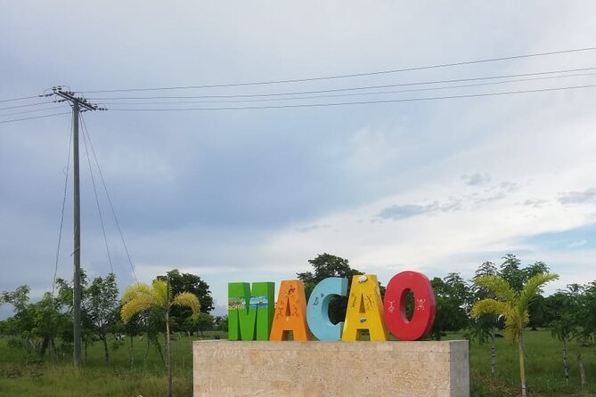 Horseback Riding at Macao Beach - Following the wooded trail