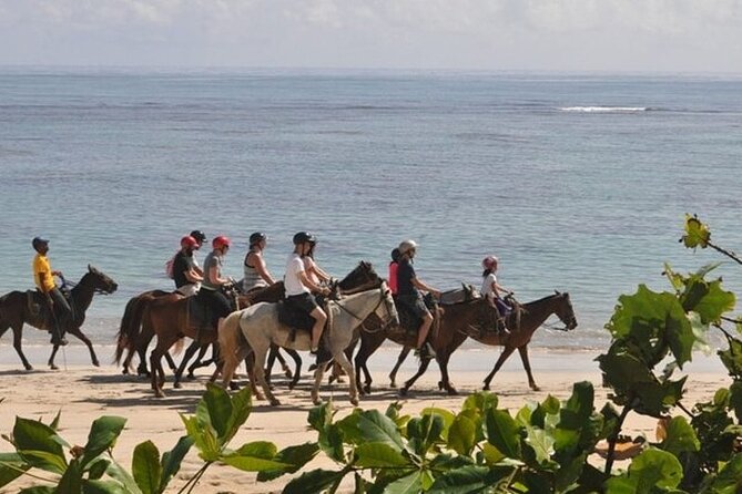 Horseback Riding at Macao Beach - Riding along Macao Beach