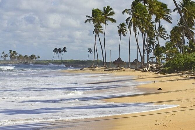 Horseback Riding at Macao Beach - Cigar and mamajuana tastings