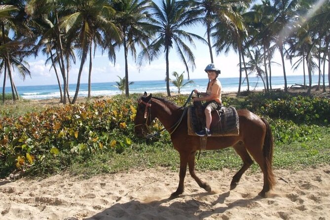 Horseback Riding at Macao Beach - Pickup, timing, and the rest of your day