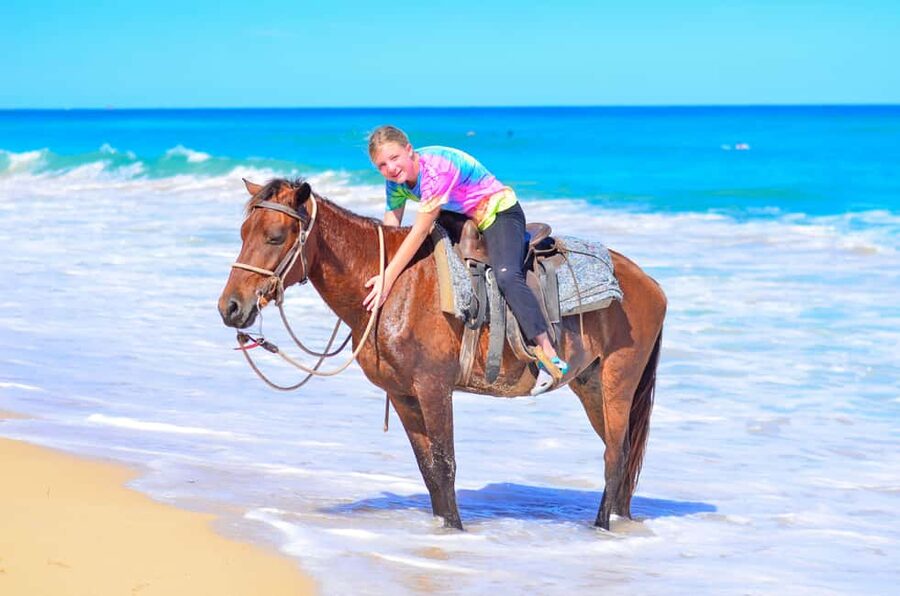 Horseback Riding at Macao Beach and River with Transfers - Riding through the wooded trails