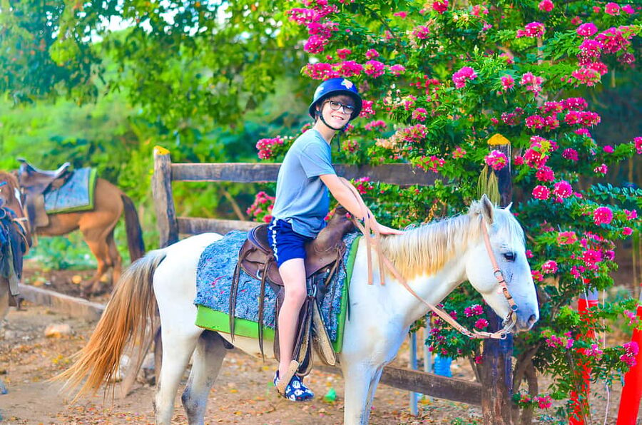 Horseback Riding at Macao Beach and River with Transfers - Guide quality and language