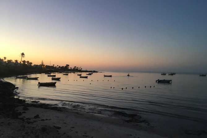 Horseback riding at sunrise 3h - Riding out before dawn at Ranch Adada Djerba