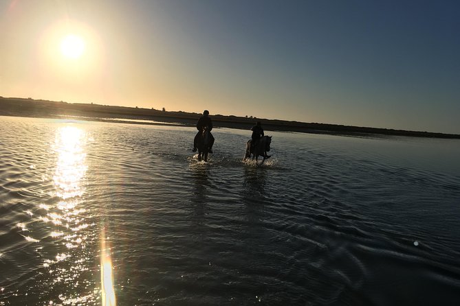 Horseback riding at sunrise 3h - The riding standard is the key decision
