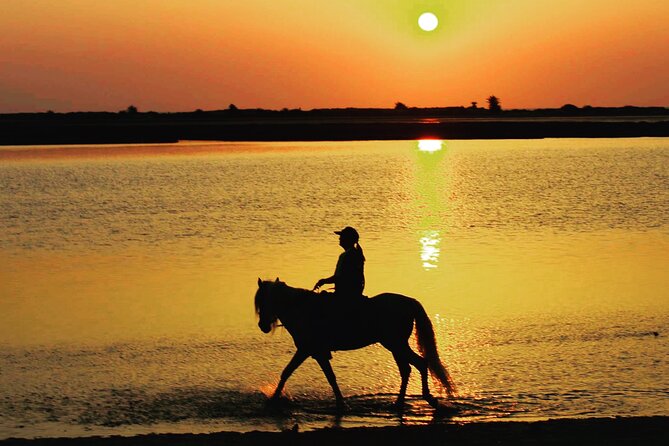 Horseback riding at sunrise 3h - A small group changes the feel