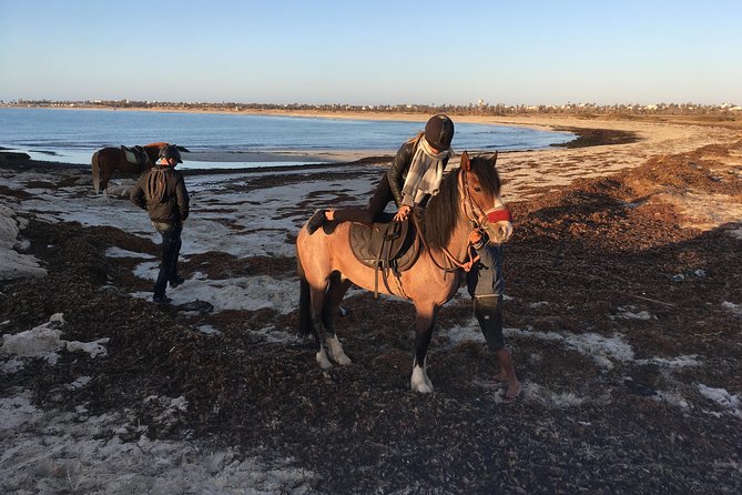 Horseback riding at sunrise 3h - What the viewpoint adds