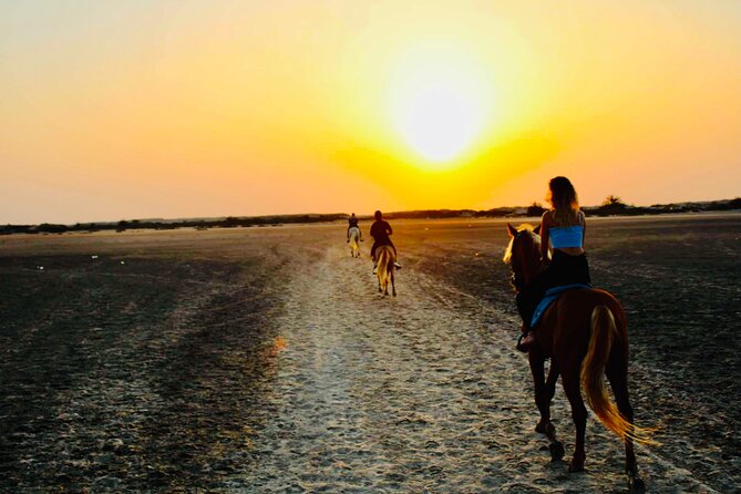 Horseback riding at sunrise 3h - Is $52.48 good value?