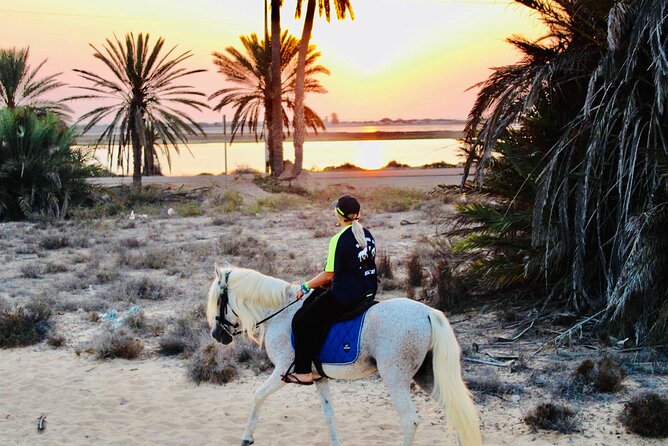 Horseback riding at sunrise 3h - Practical planning for the morning